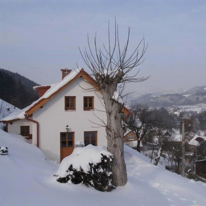 Villa Charming House With Beautiful Landscape Frýdštejn Exterior foto